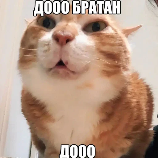 Василий Леващенко